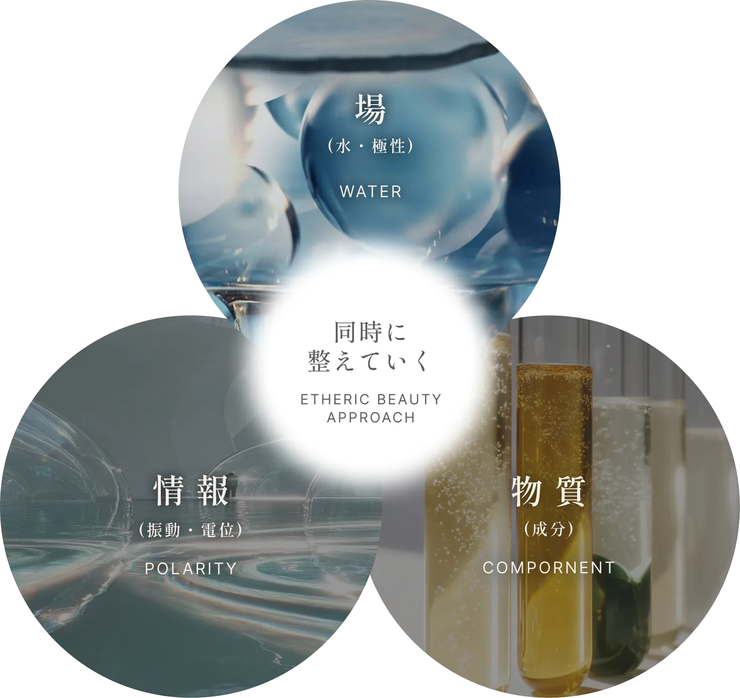 物質（成分）× 場（水・極性）× 情報（振動・電位）を同時に整えていく エーテルビューティーアプローチ